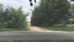 Aste giudiziarie immobiliari online - 10.0