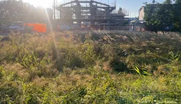 Aste giudiziarie immobiliari online - 8.0