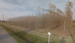 Aste giudiziarie immobiliari online - 11.0