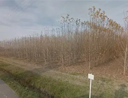 Aste giudiziarie immobiliari online - 6.0