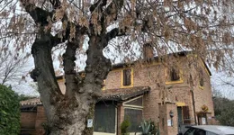 Aste giudiziarie immobiliari online - 8.0