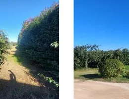 Aste giudiziarie immobiliari online - 11.0