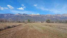 Aste giudiziarie immobiliari online - 4.0