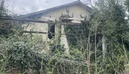 Aste giudiziarie immobiliari online - 12.0