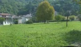 Aste giudiziarie immobiliari online - 8.0