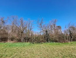Aste giudiziarie immobiliari online - 7.0