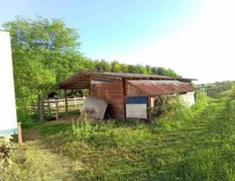 Aste giudiziarie immobiliari online - 7.0