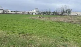 Aste giudiziarie immobiliari online - 3.0