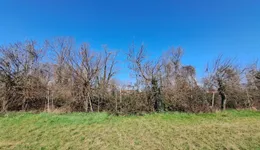 Aste giudiziarie immobiliari online - 3.0