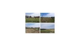 Aste giudiziarie immobiliari online - 2.0