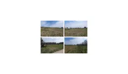 Aste giudiziarie immobiliari online - 5.0