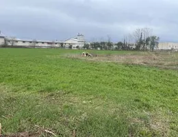 Aste giudiziarie immobiliari online - 5.0