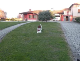 Aste giudiziarie immobiliari online - 9.0