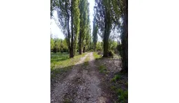 Aste giudiziarie immobiliari online - 6.0