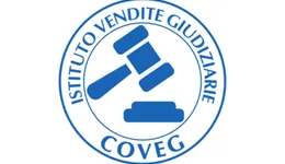 Aste giudiziarie beni immateriali online - 3.0
