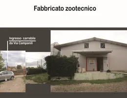 Aste giudiziarie immobiliari online - 4.0