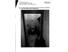 Aste giudiziarie immobiliari online - 2.0