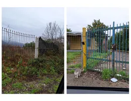 Aste giudiziarie immobiliari online - 5.0