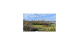 Aste giudiziarie immobiliari online - 5.0