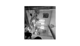 Aste giudiziarie immobiliari online - 11.0