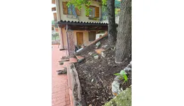 Aste giudiziarie immobiliari online - 11.0