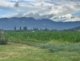 Aste giudiziarie immobiliari online - 12.0