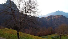 Aste giudiziarie immobiliari online - 6.0