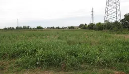 Aste giudiziarie immobiliari online - 8.0