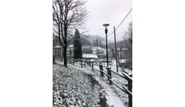 Aste giudiziarie immobiliari online - 6.0