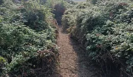 Aste giudiziarie immobiliari online - 2.0