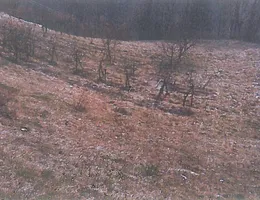 Aste giudiziarie immobiliari online - 7.0