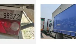 Aste giudiziarie mobiliari online - 6.0