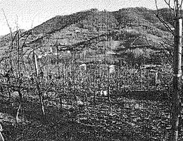 Aste giudiziarie immobiliari online - 7.0