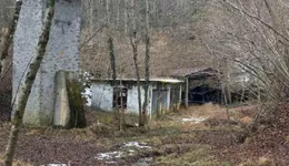 Aste giudiziarie immobiliari online - 10.0