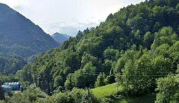 Aste giudiziarie immobiliari online - 9.0