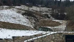 Aste giudiziarie immobiliari online - 8.0