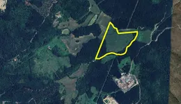 Aste giudiziarie immobiliari online - 9.0