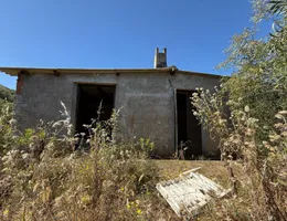 Aste giudiziarie beni immateriali online - 4.0