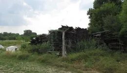 Aste giudiziarie immobiliari online - 6.0