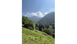 Aste giudiziarie immobiliari online - 2.0