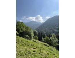 Aste giudiziarie immobiliari online - 2.0