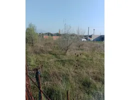 Aste giudiziarie immobiliari online - 9.0