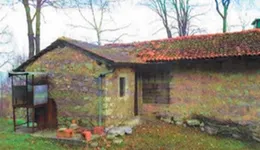 Aste giudiziarie immobiliari online - 9.0