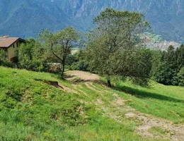 Aste giudiziarie immobiliari online - 5.0