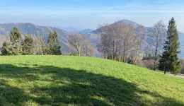 Aste giudiziarie immobiliari online - 8.0