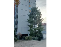 Aste giudiziarie immobiliari online - 11.0