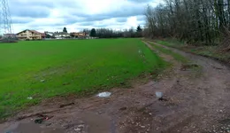 Aste giudiziarie immobiliari online - 4.0