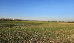 Aste giudiziarie immobiliari online - 10.0