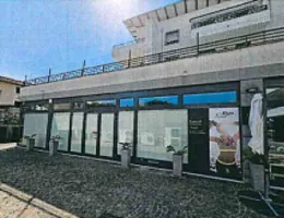 Aste giudiziarie immobiliari online - 2.0