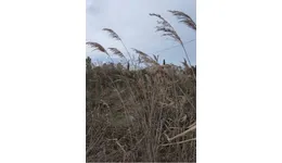 Aste giudiziarie immobiliari online - 7.0